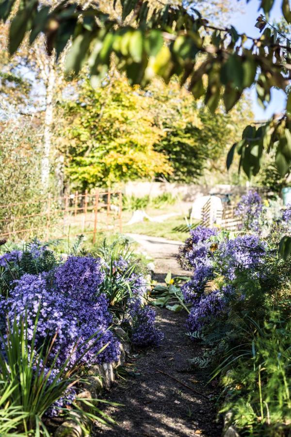 The Wicklow Escape (Adults Only) Donard Buitenkant foto