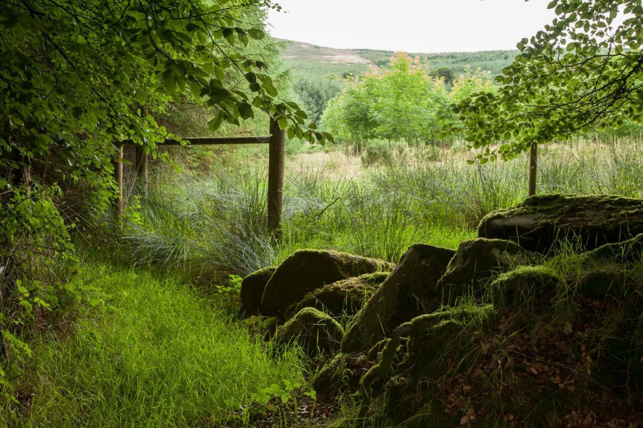 The Wicklow Escape (Adults Only) Donard Buitenkant foto